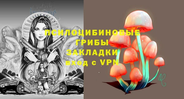 круглые Алексеевка