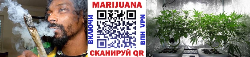 Канабис сатива купить сайты Покров